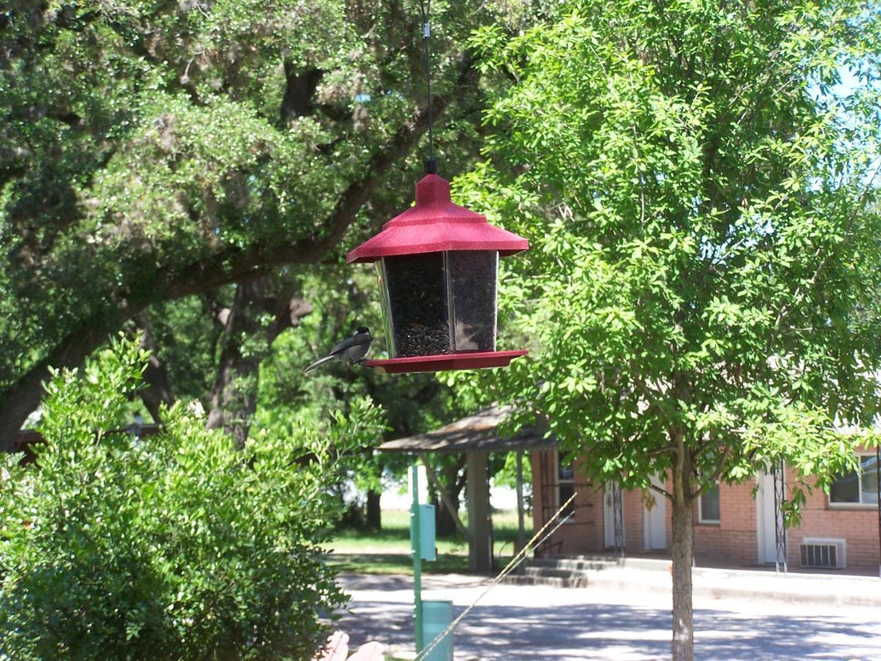 Blanco County Inn & Guesthouses 外观 照片
